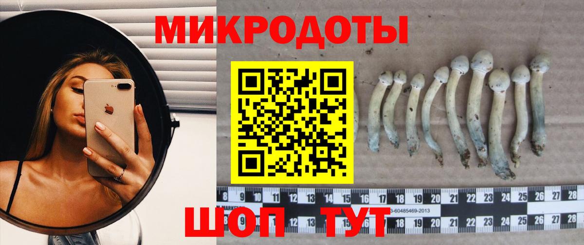 магазин    Вход с VPN  Медногорск  Псилоцибиновые грибы MAGIC MUSHROOMS  Галлюциногенные грибы Magic Shrooms 
